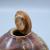 Coloured Ardens Grafton Burr Ash